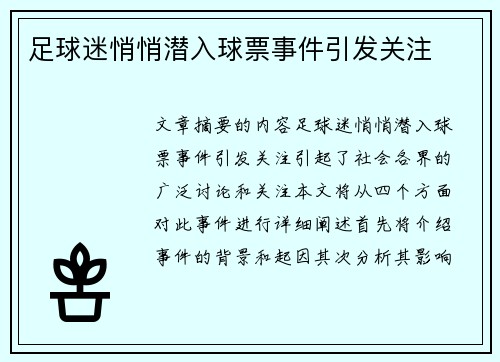 足球迷悄悄潜入球票事件引发关注